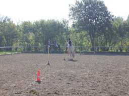 img_0232_web